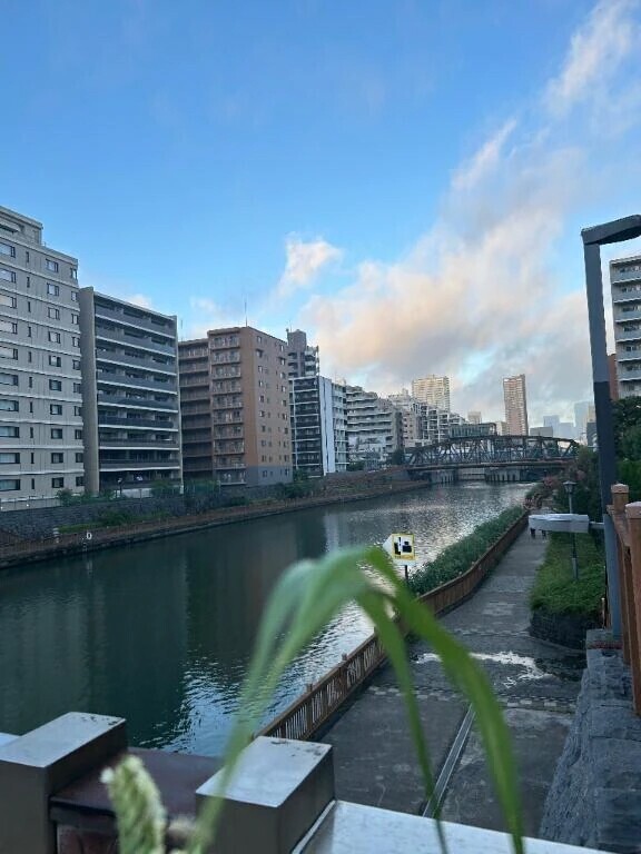 空の色ににている11