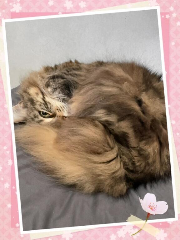 ⭐︎ちらっ👀⭐︎