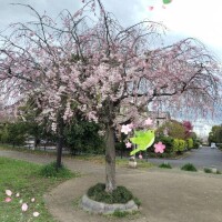 さき