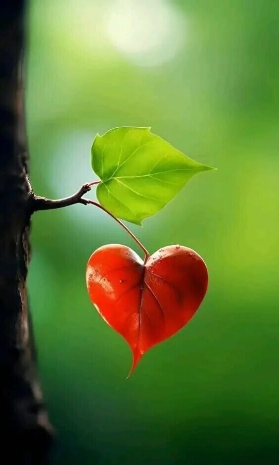 出勤しました😊