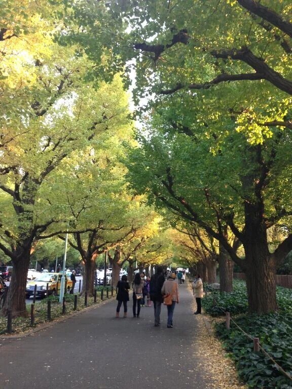 インフルエンザ