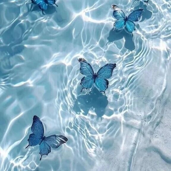 次回のお約束🦋