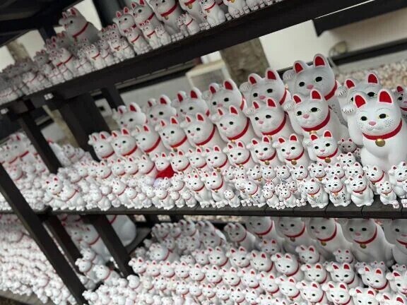 おはようございます