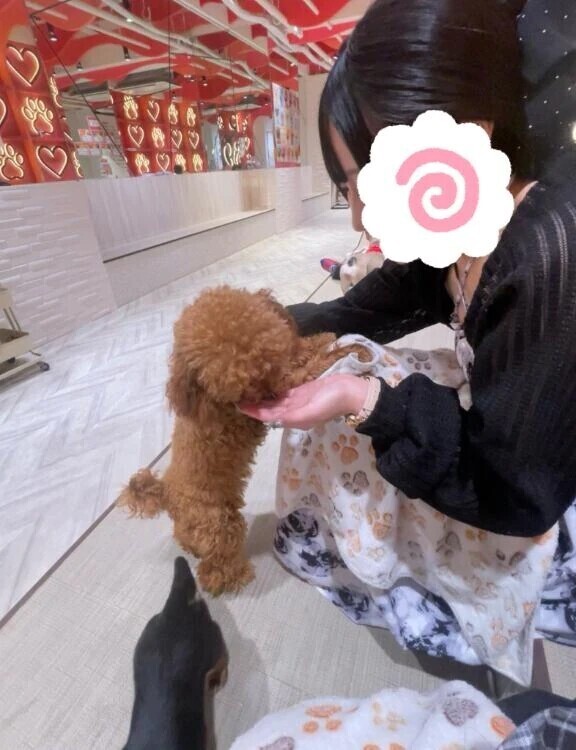 本気闘い🔥