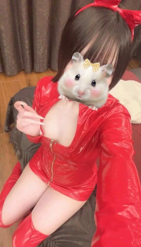 しとしとひんやり❄️