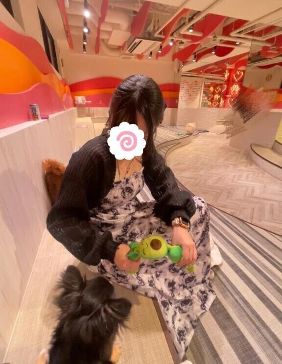 ぺろぺろ🐶