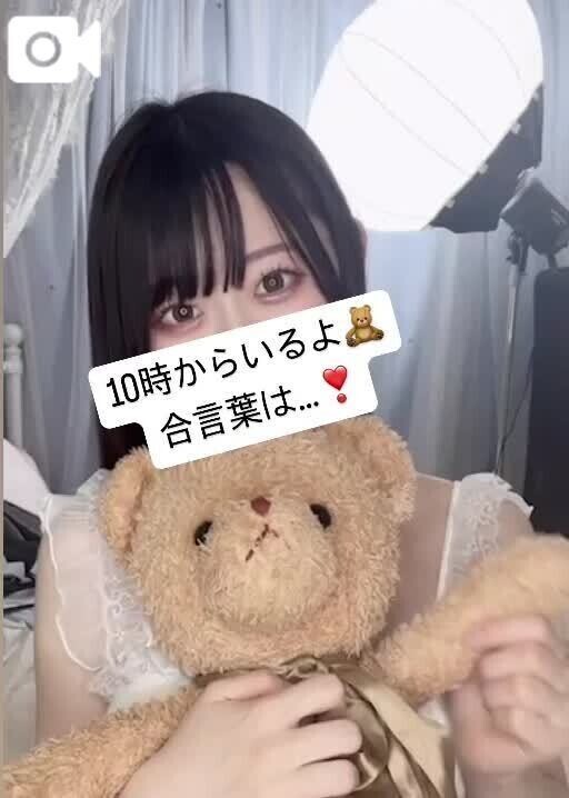 今日の合言葉🎀