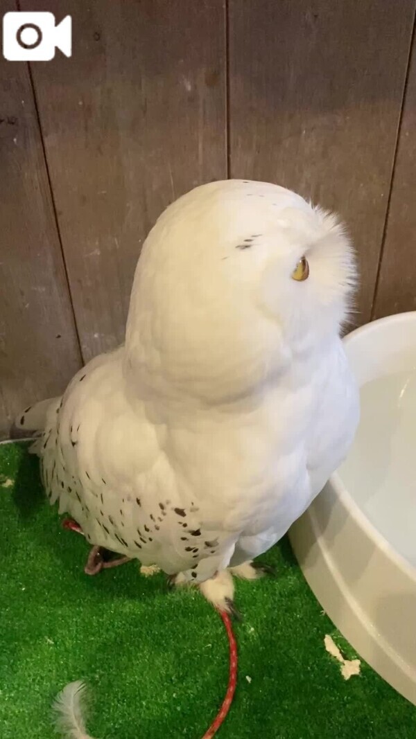 ♡愛おしい命……♡