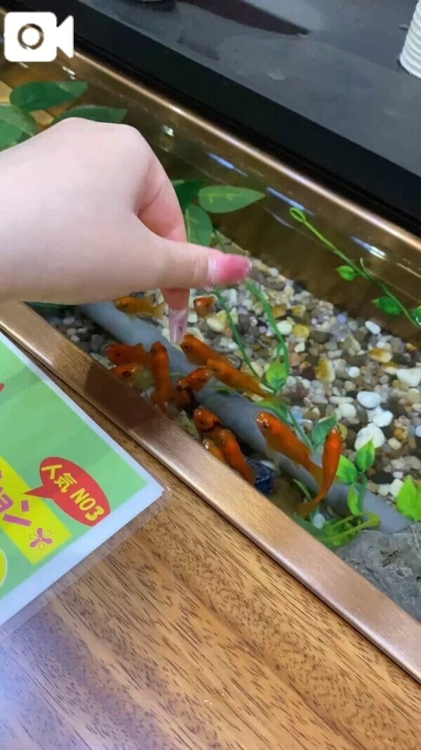 可愛い✨✨✨💦💦