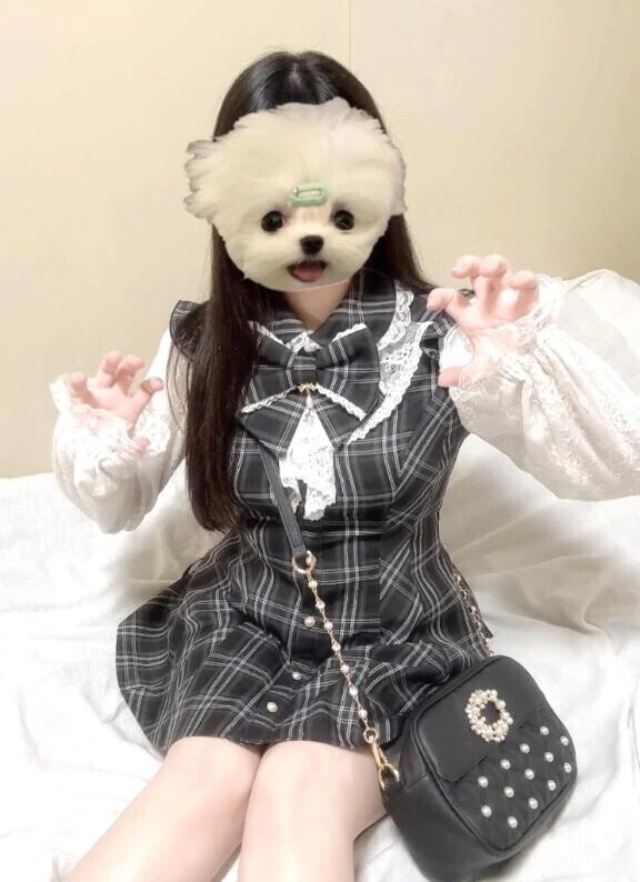 🔔次回22：30〜⊂(ᴖ ̫ᴖ  )⊃