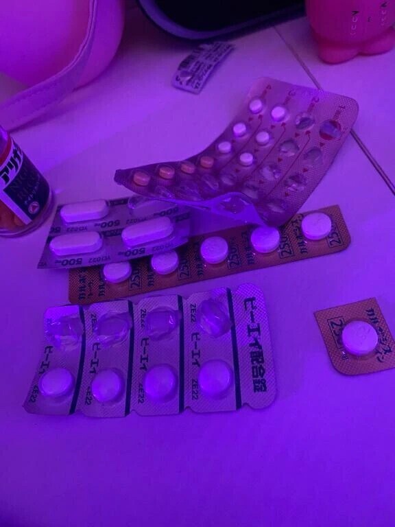 今日もおやすみします……(；；)