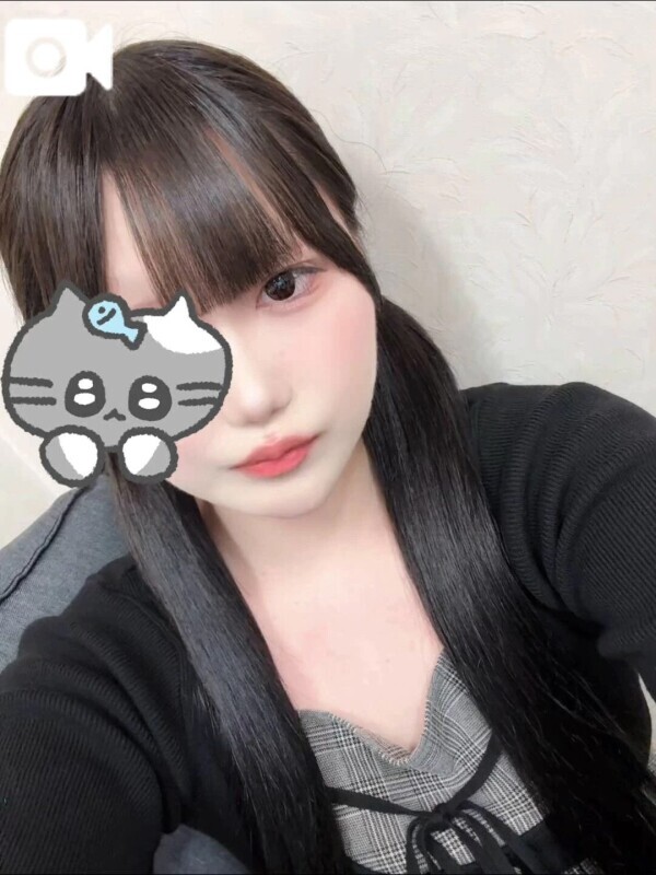 ついんてーる🩶