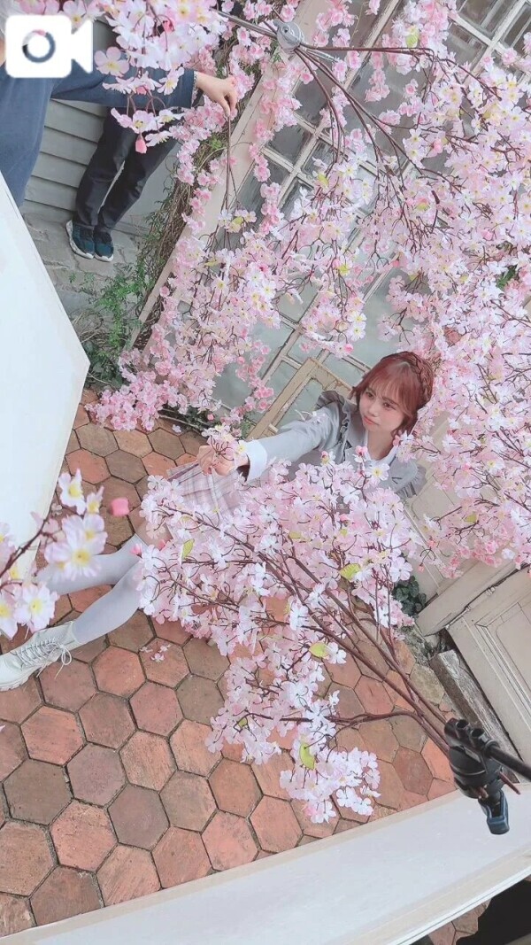 裏側🌸