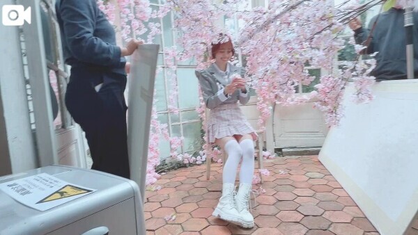 🌸