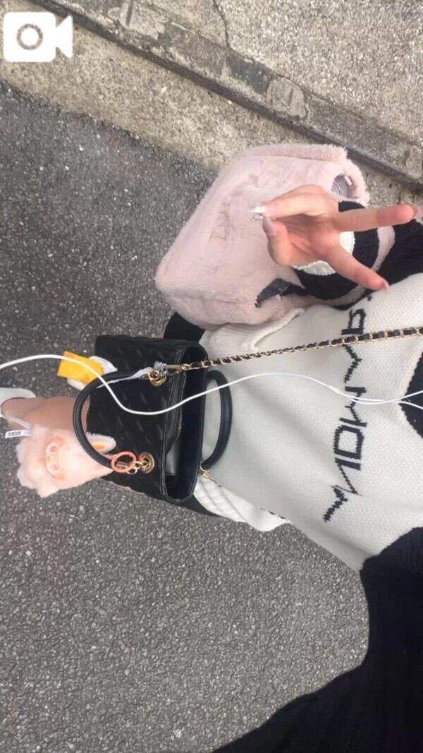 出勤中🐰