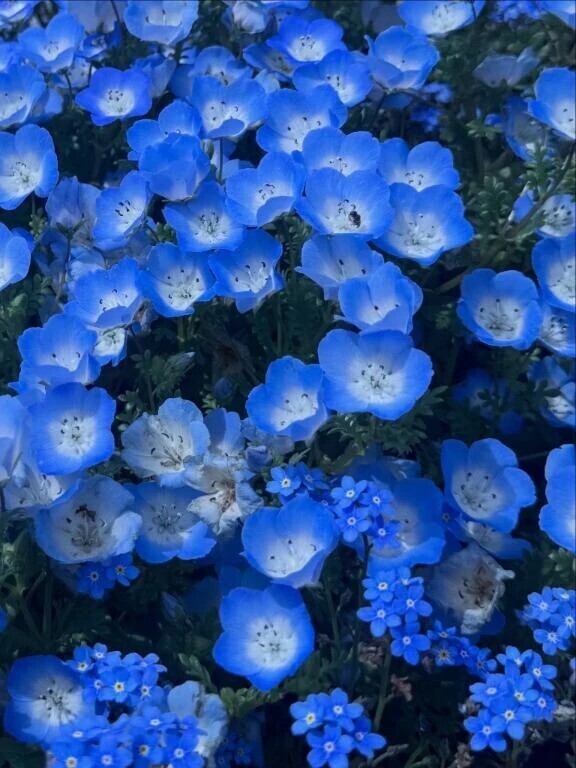 5月❤︎