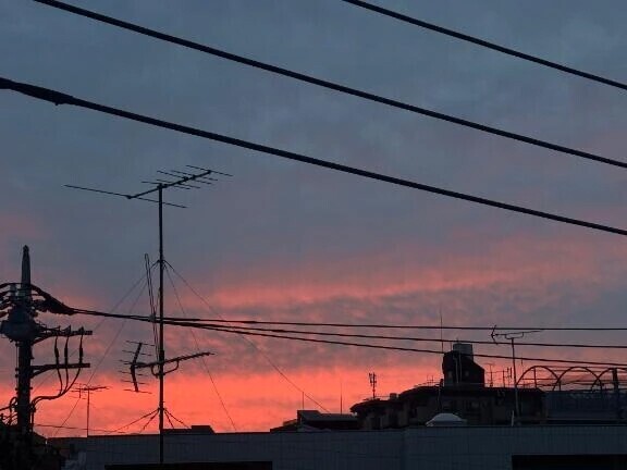 ごめんなさい、、
