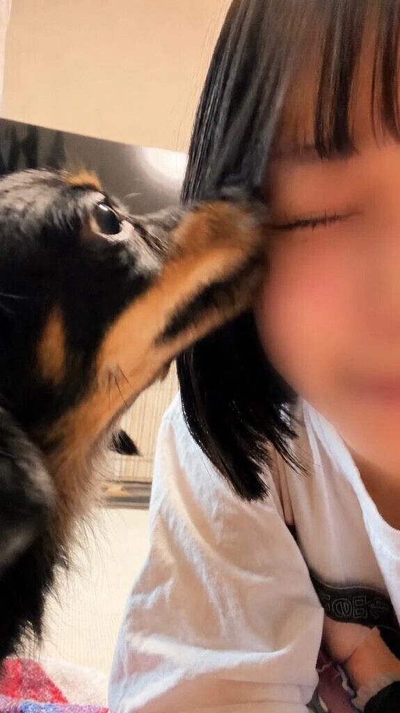 犬派です🐶🩷