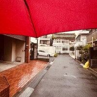 黒崎
