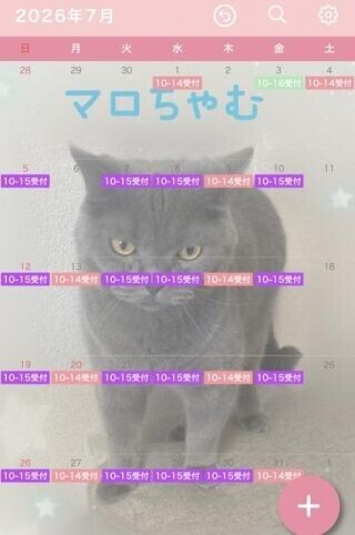 うしろから
