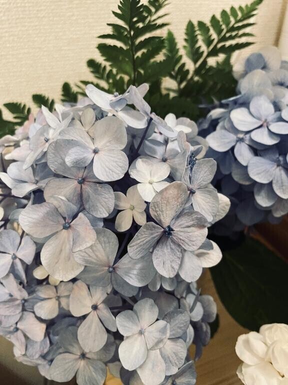 部屋に紫陽花などを
