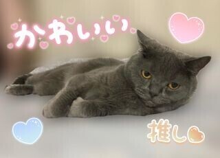 おはよう〜