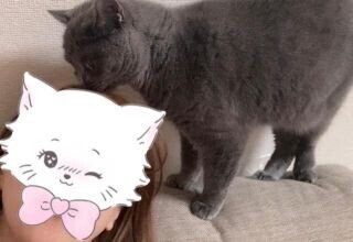 【お礼】