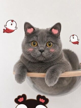面白かった｡