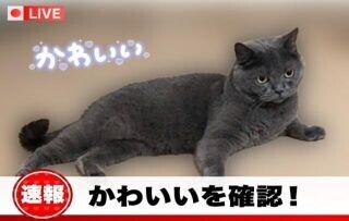 そういえば新しい所がね