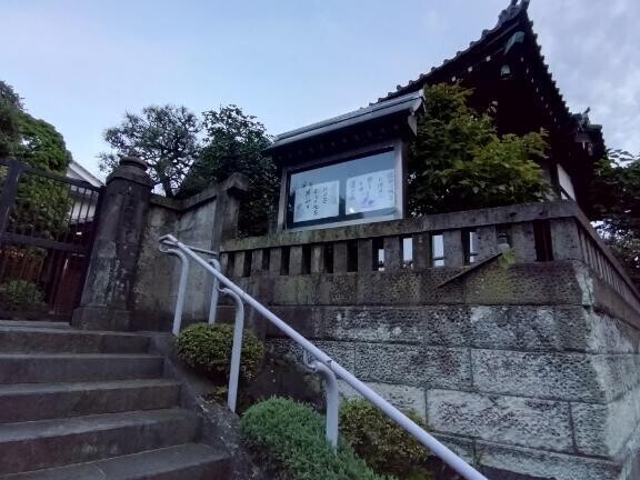 お疲れサマーです