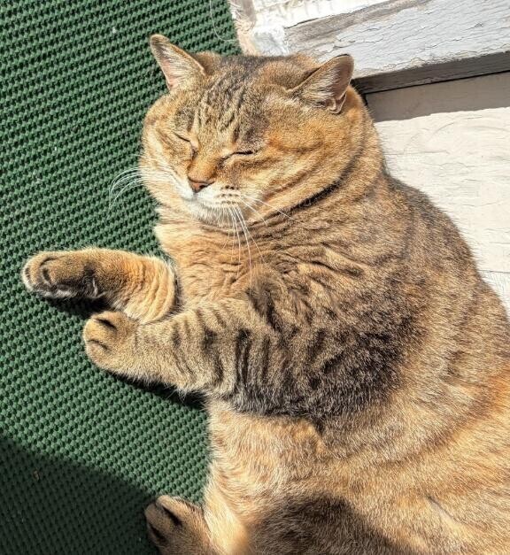 連休最終日