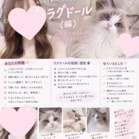 音無