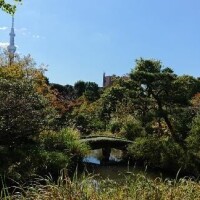 沖田