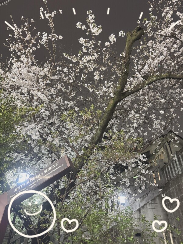 井川(=^ェ^=)お礼