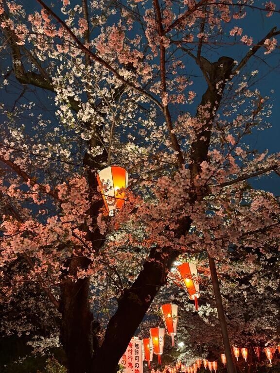 予約について