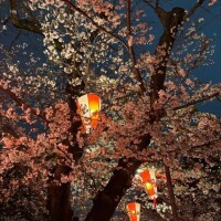 皆川