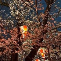 皆川
