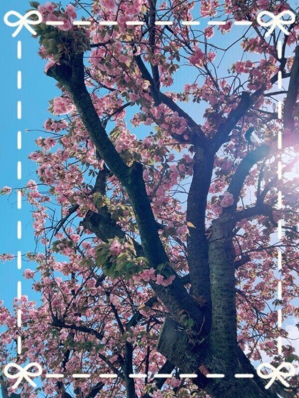 太陽浴びて