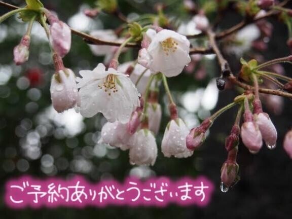 ワンタッチの