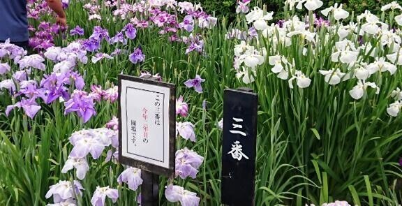 はじめまして