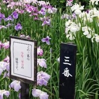 沖田