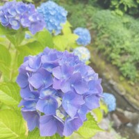 黒川