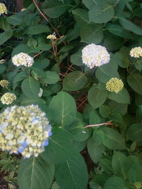 出勤しました本日も、、