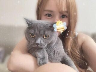 ブリちゃん
