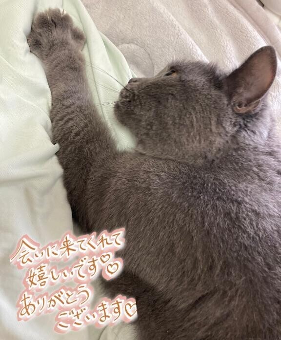 昨日も