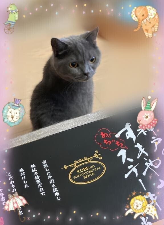 パトロール