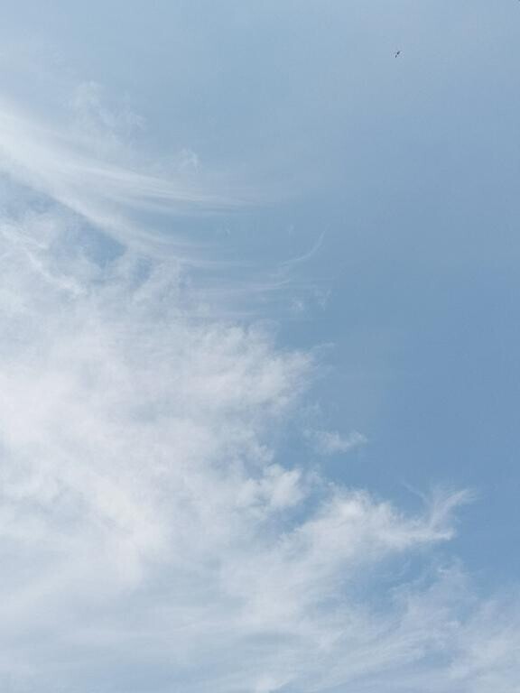 こんにちは
