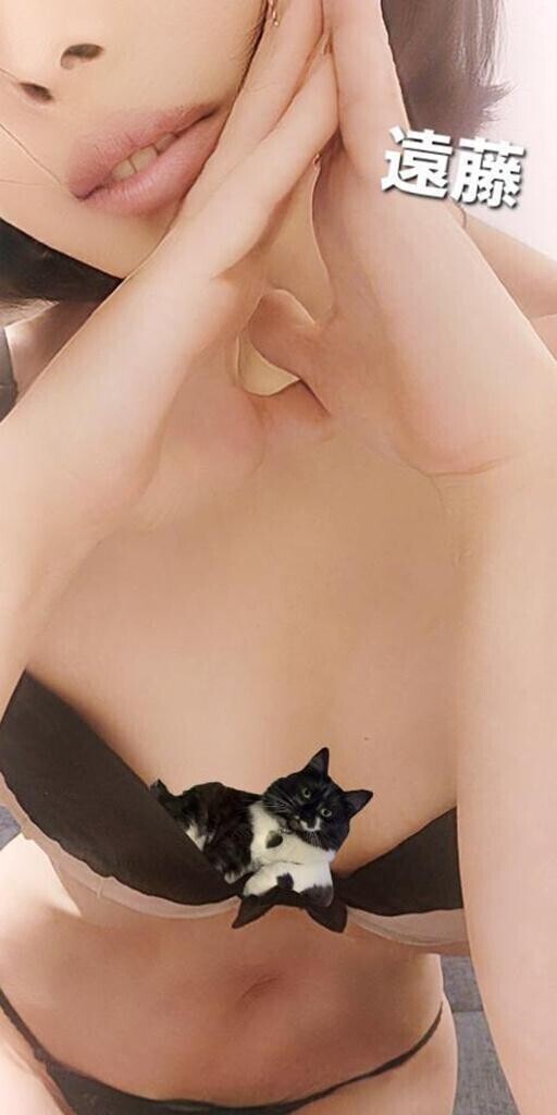 ありがとうございました。