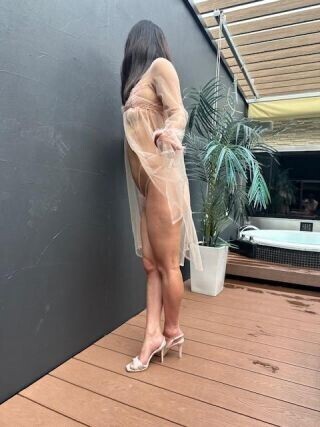 本日は