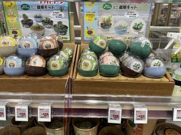 お早うございます(*´`*)